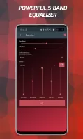 Pi Music Player: Offline Music MOD APK