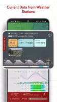 Windy.com - Weather Forecast MOD APK
