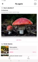 Picture Mushroom - Mushroom ID MOD APK