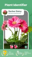 Blossom - Plant Identifier MOD APK