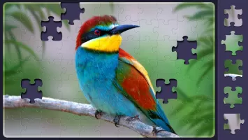 Relax Jigsaw Puzzles MOD APK