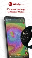 Windy.com - Weather Forecast MOD APK