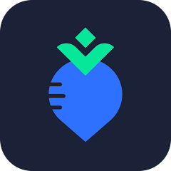 VPN-RadishVPN/VPN Proxy MOD APK