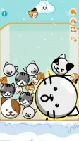 Melon Chill: Fruit Drop MOD APK