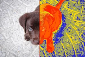 Thermal scanner camera VR MOD APK