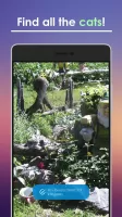 Find a Cat MOD APK