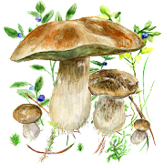 Mushrooms app MOD APK