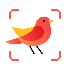 Picture Bird - Bird Identifier MOD APK