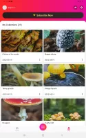 Picture Mushroom - Mushroom ID MOD APK