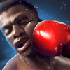 Boxing King -  Star of Boxing MOD APK
