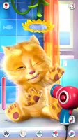 Talking Ginger MOD APK