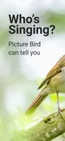 Picture Bird - Bird Identifier MOD APK