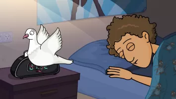 Room and a Half MOD APK