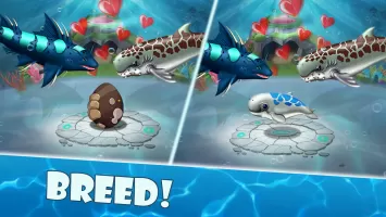 Shark Mania MOD APK