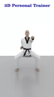Taekwondo Workout At Home MOD APK