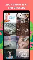 PicLab MOD APK
