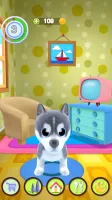 Talking Puppy MOD APK