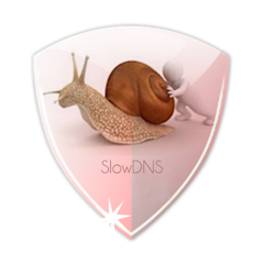 VPN Over DNS Tunnel : SlowDNS MOD APK