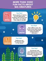 Word Search Sea: Word Puzzle MOD APK