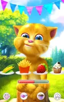 Talking Ginger 2 MOD APK