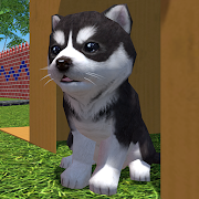 Cute Pocket Puppy 3D - Part 2 MOD APK