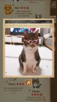 Secret Cat Forest MOD APK