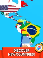Paint the Flag MOD APK