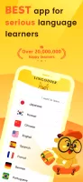 LingoDeer - Learn Languages MOD APK
