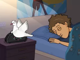 Room and a Half MOD APK