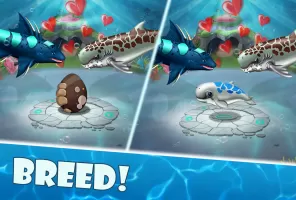 Shark Mania MOD APK