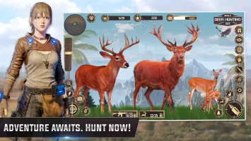 Jungle Deer Hunting Games 3D MOD APK