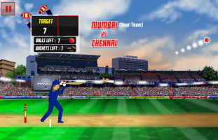 Mr Legend Cricket Game MOD APK