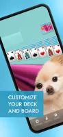 Spider Solitaire MOD APK