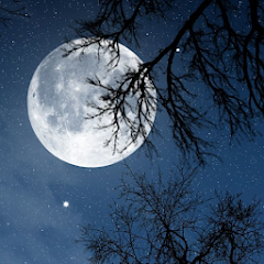 Relax Night: sleep sounds MOD APK