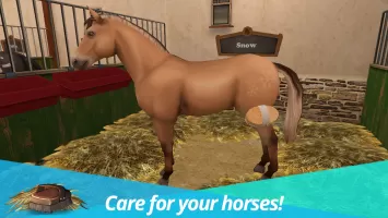 Horse World: My Riding Horses MOD APK