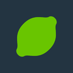 Lime Launcher - Minimal & fast MOD APK