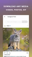 Friendly For Instagram MOD APK