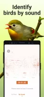 Picture Bird - Bird Identifier MOD APK