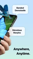 Picture Insect: Bug Identifier MOD APK