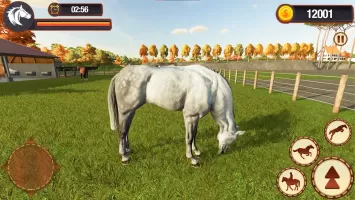 My Horse Herd Care Simulator MOD APK