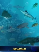 Monster Fishing 2024 MOD APK