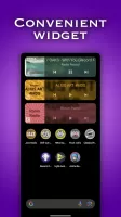 Radio: Record,Europa,Nashe,DFM MOD APK