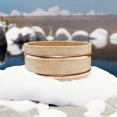 EscapeGame Snowy Onsen MOD APK