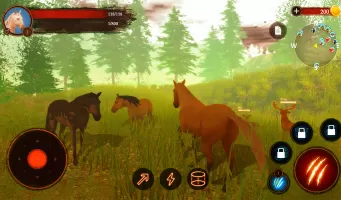 The Horse MOD APK