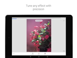 Snapseed MOD APK