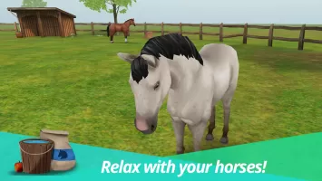 Horse World: My Riding Horses MOD APK