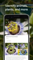 Google Lens MOD APK