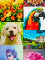 Cross Stitch Joy MOD APK