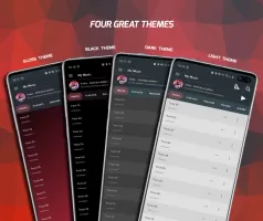 Pi Music Player: Offline Music MOD APK