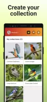 Picture Bird - Bird Identifier MOD APK